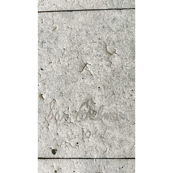 Sam Edelman Luciana Pink Flesh Flip Flop Sandals Size 10 - Picture 3 of 7